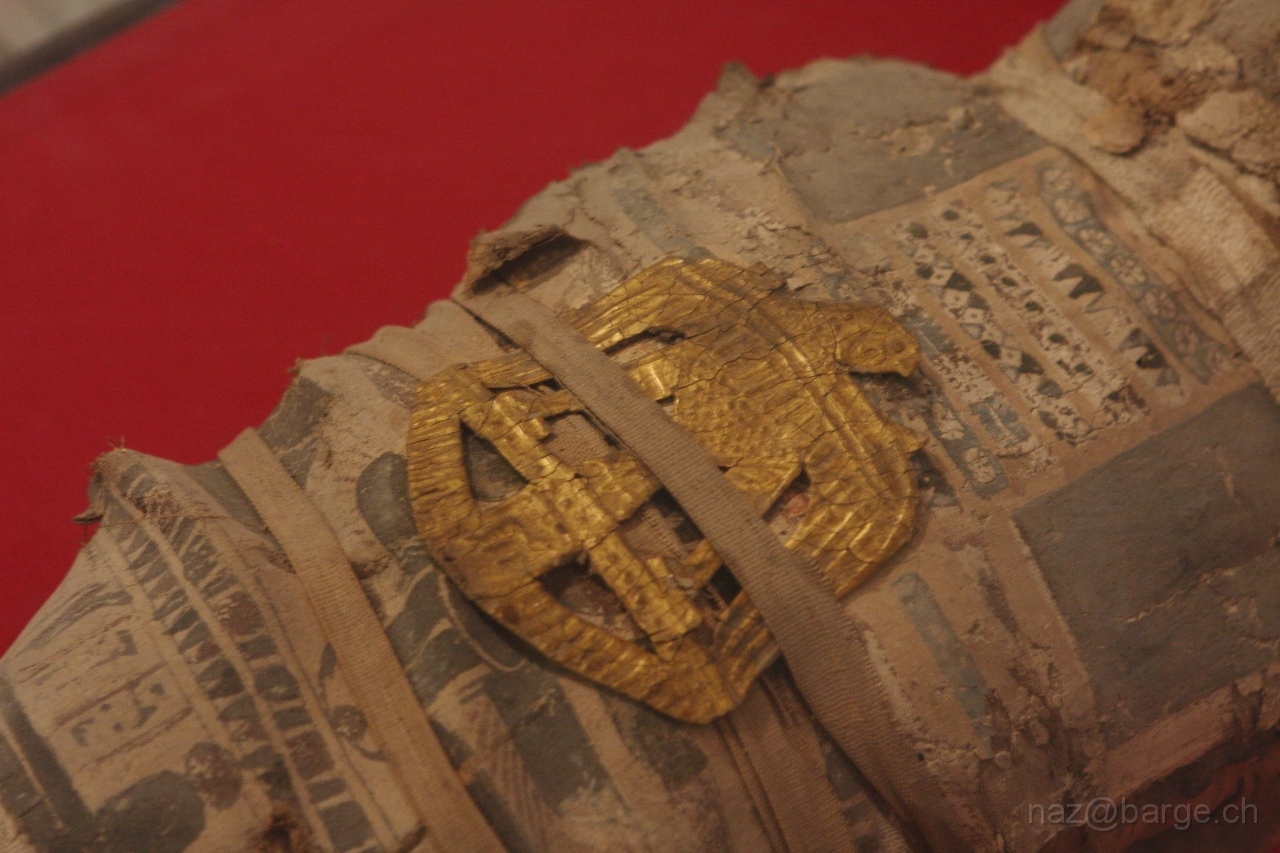 EOS 40D03_05_20120194.JPG